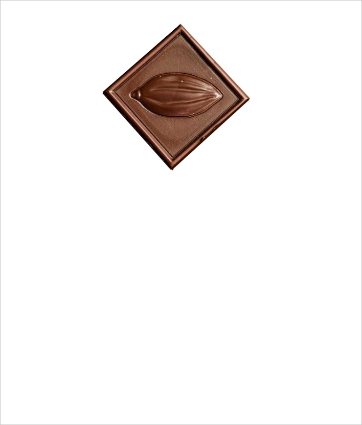 Vild chokolade 4 g