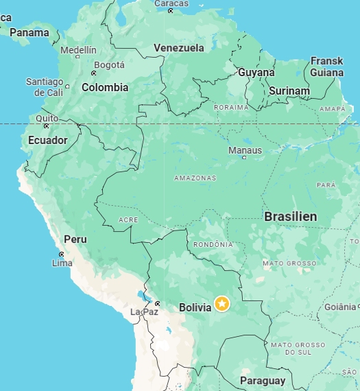 Vild kakao og chokolade findes primært i Amazon regnskoven i Bolivia og Brasilien